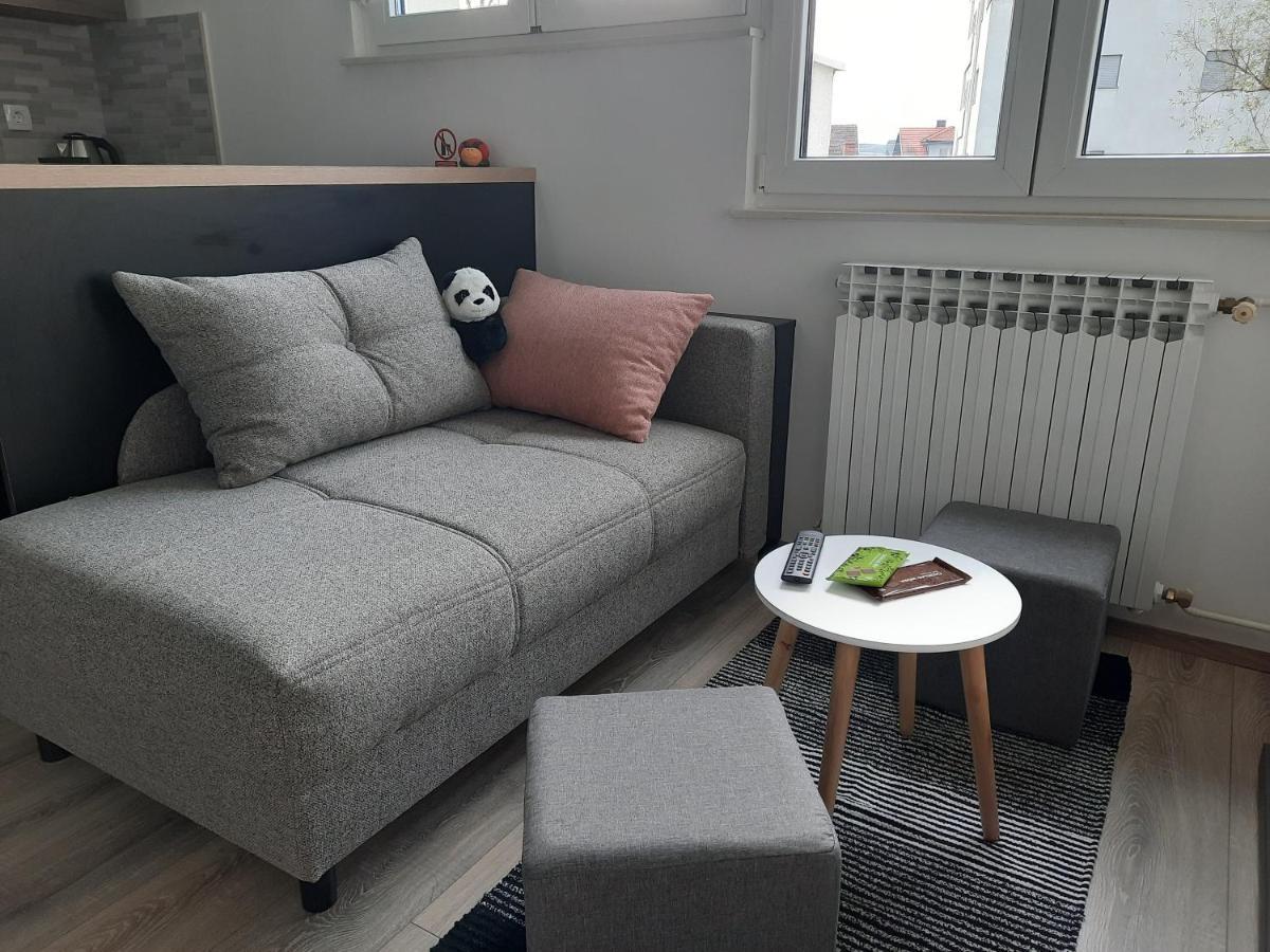 Apartman Ines เวลิคาโกริตซา ภายนอก รูปภาพ