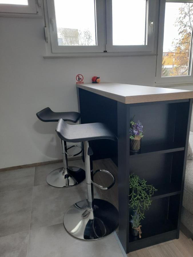 Apartman Ines เวลิคาโกริตซา ภายนอก รูปภาพ