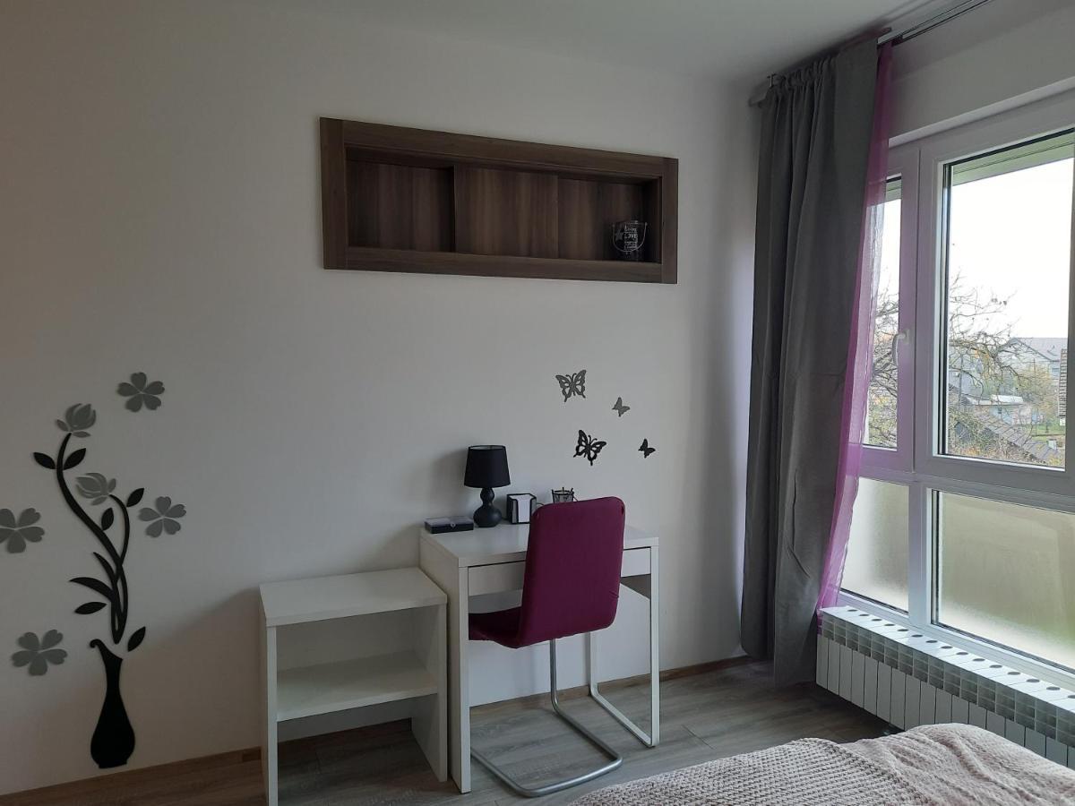 Apartman Ines เวลิคาโกริตซา ภายนอก รูปภาพ