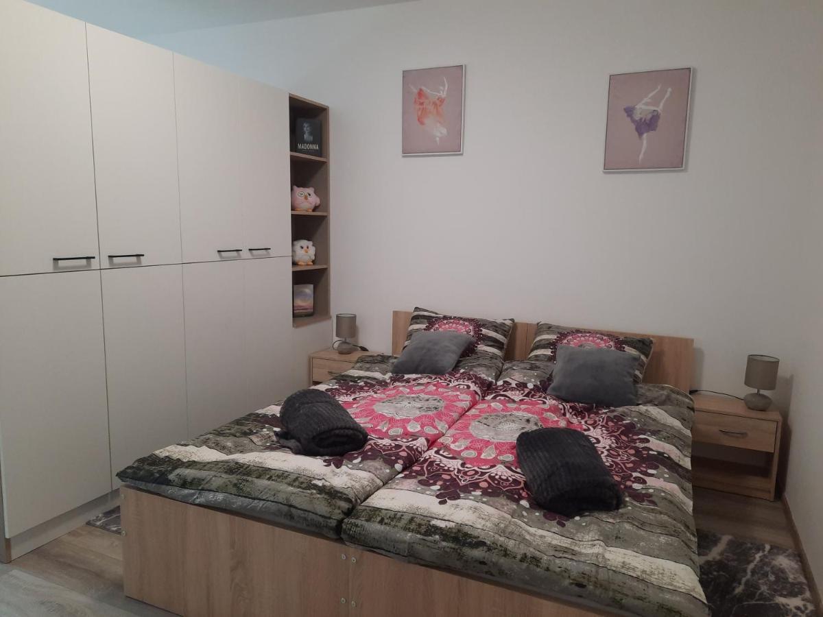 Apartman Ines เวลิคาโกริตซา ภายนอก รูปภาพ