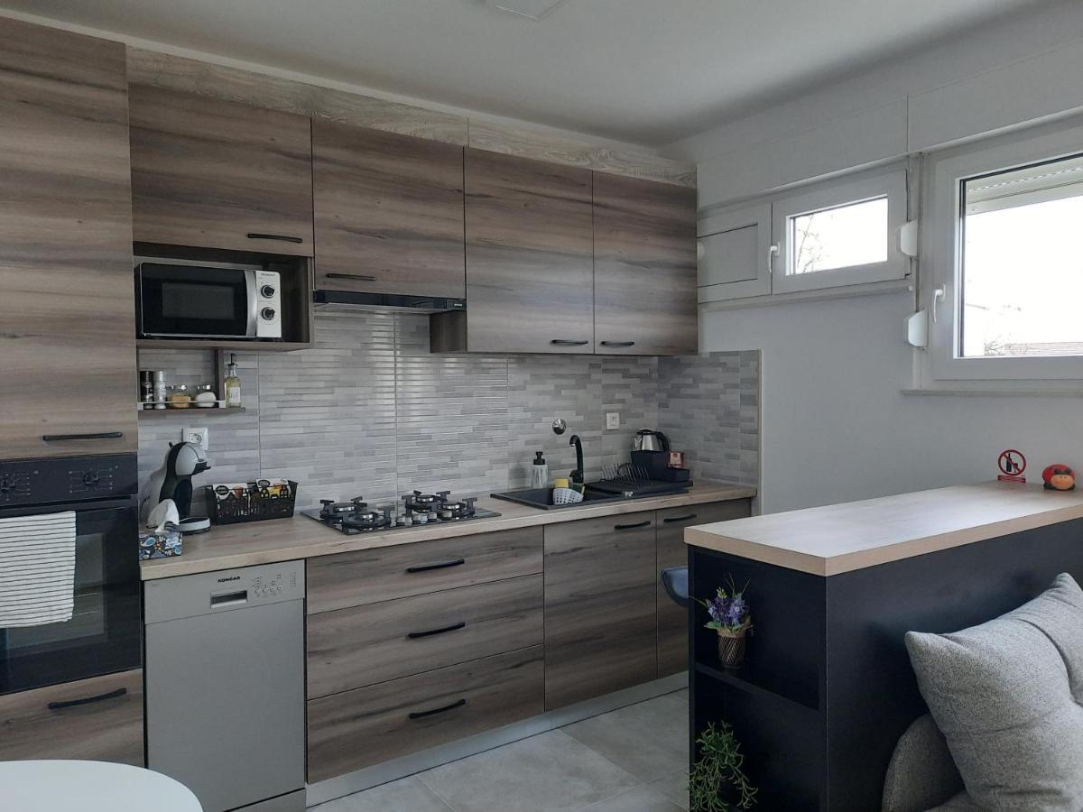Apartman Ines เวลิคาโกริตซา ภายนอก รูปภาพ