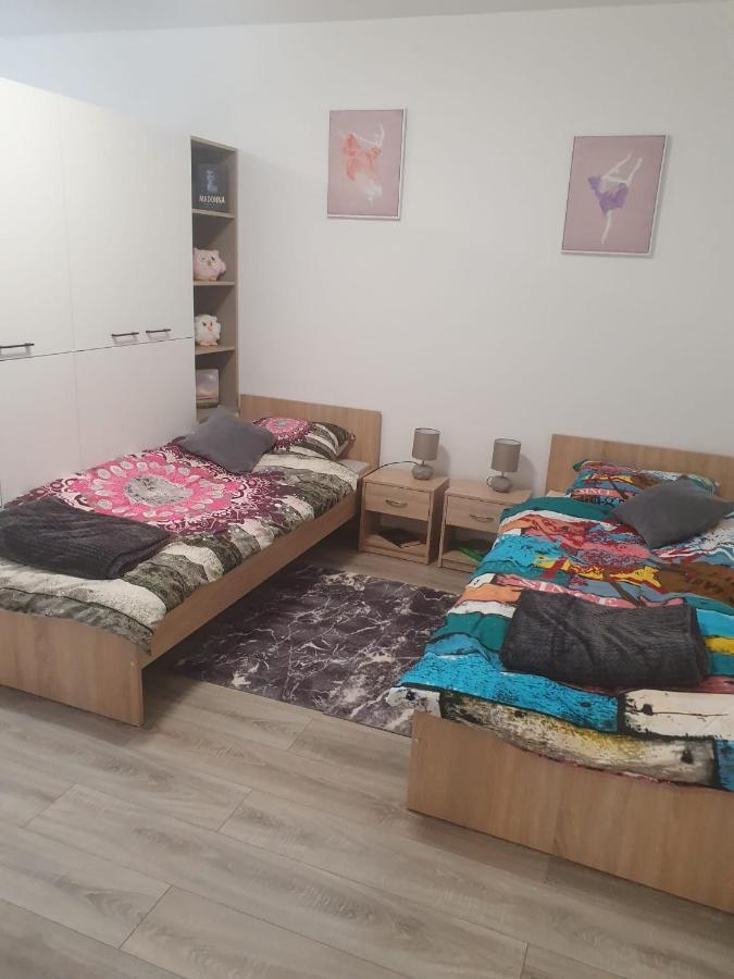 Apartman Ines เวลิคาโกริตซา ภายนอก รูปภาพ